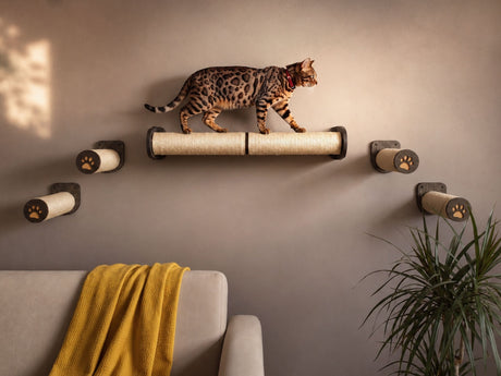 Cat wall sisal steps and scratching post 