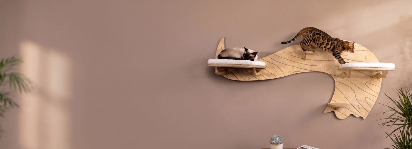 Two cats on a wall-mounted cat shelf against a beige wall.