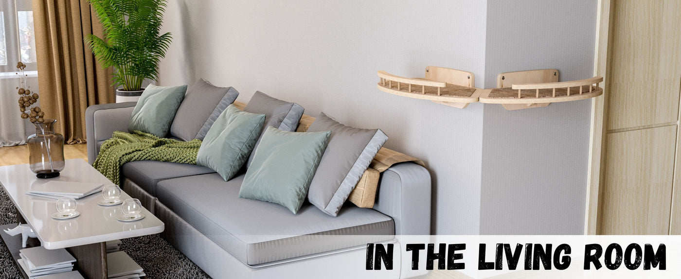 Gray sofa with cushions in a living room setting with cat wall furniture