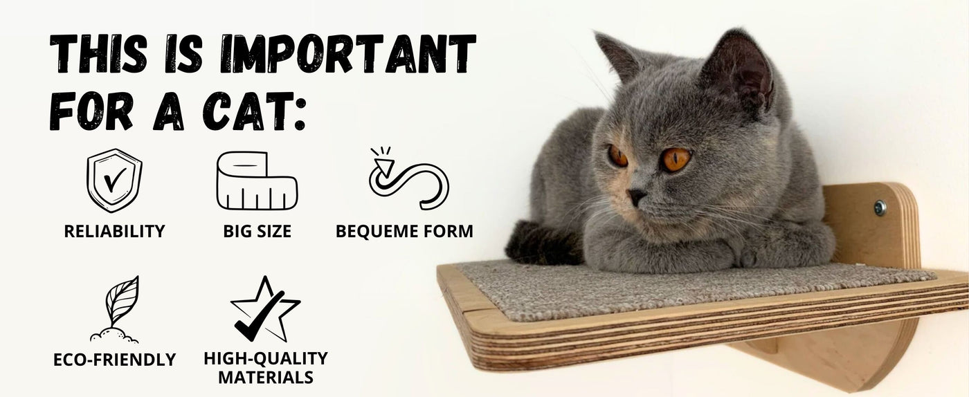 Gray cat on a wooden shelf with text and icons about cat care.
