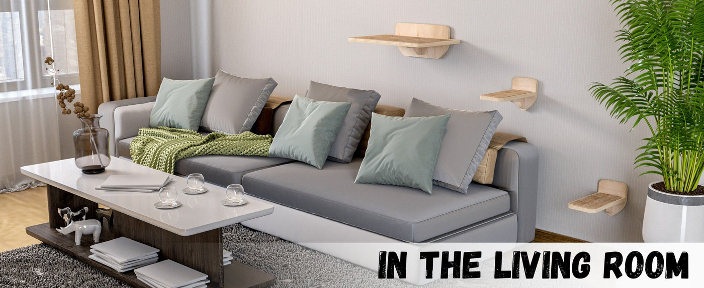 Modern living room with a gray sofa, coffee table, and cat wall shelf with steps.