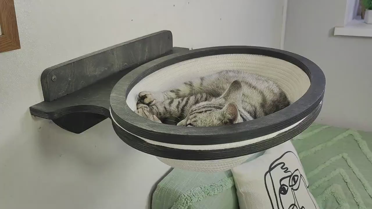 Cat wall bed