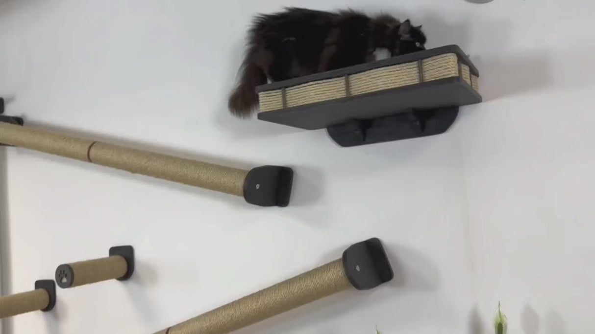 cat climbing sisal scratching post on wall