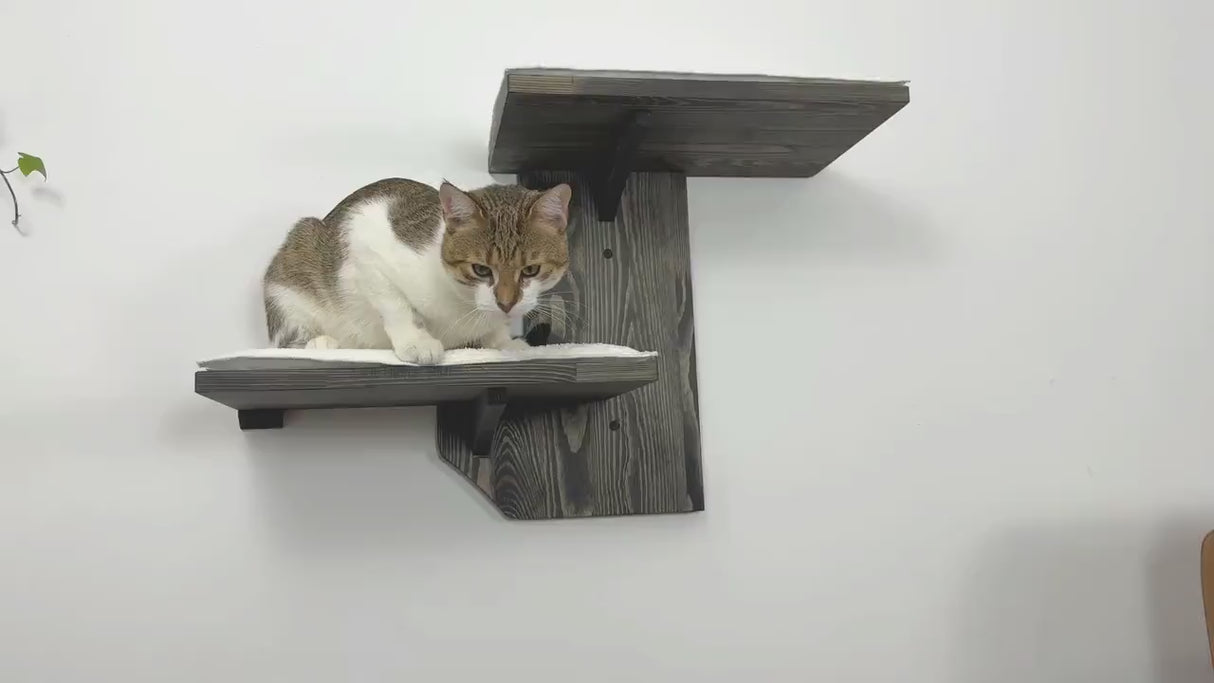 Wall shelves for cats, Cat Climbing Wall, Furniture for cats / Shelves for cats made of natural wood