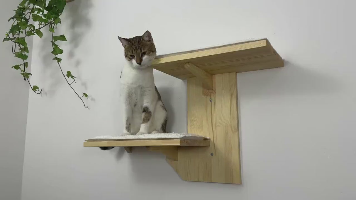 Wall shelves for cats, Cat Climbing Wall, Furniture for cats / Shelves for cats made of natural wood