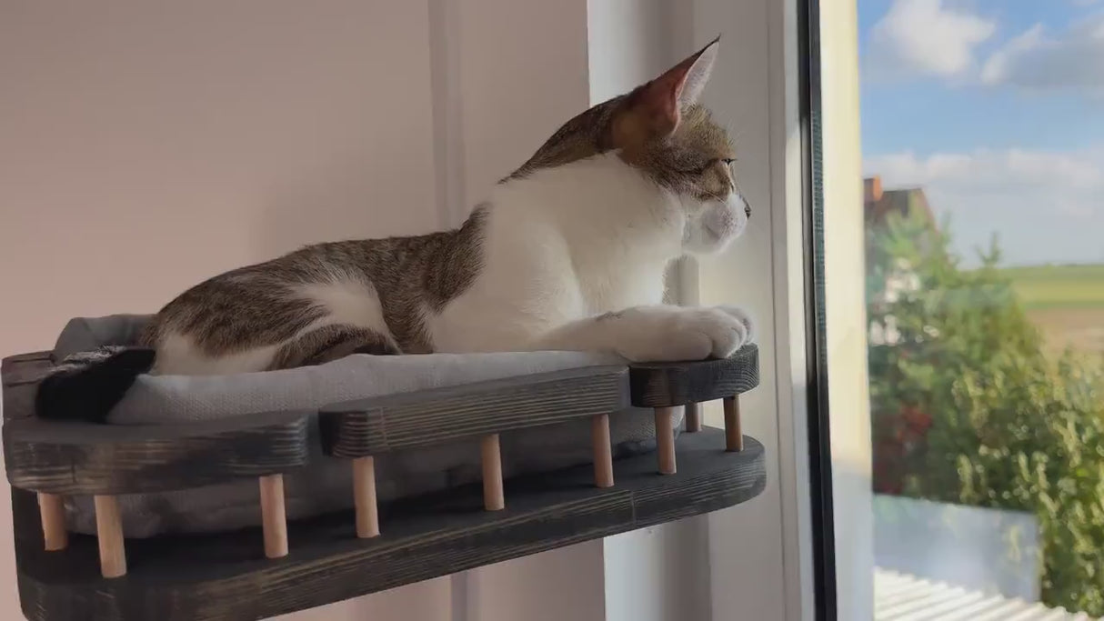 Cat Window Scratching Pole