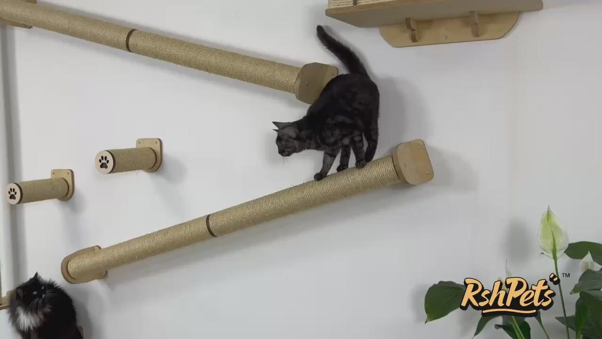 cat climbing sisal scratching post on wall
