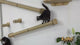 cat climbing sisal scratching post on wall