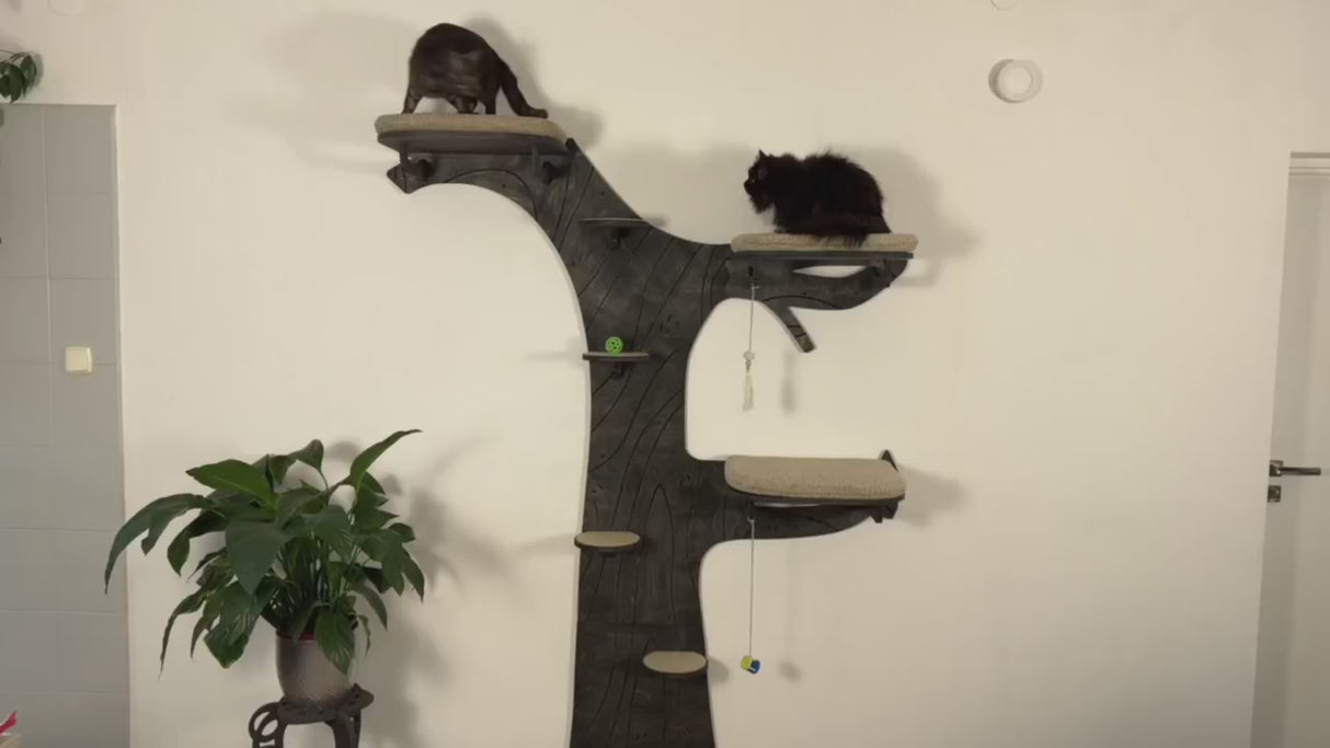 cat wall shelf