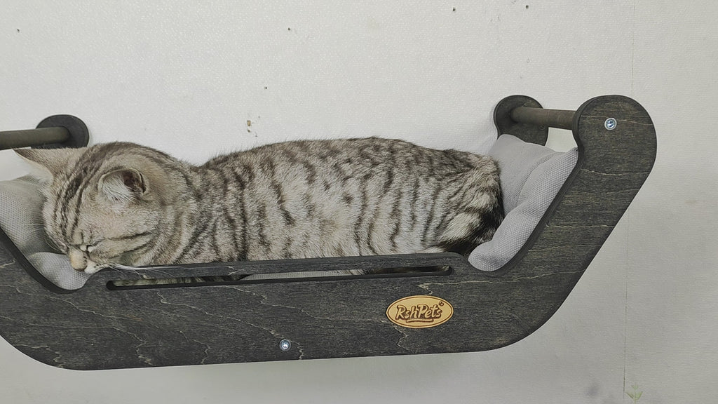 Video review of cat wall shelf with pillow