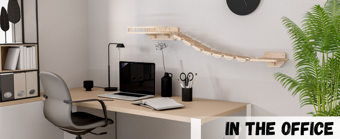 Modern office desk with computer, lamp, and cat elements.