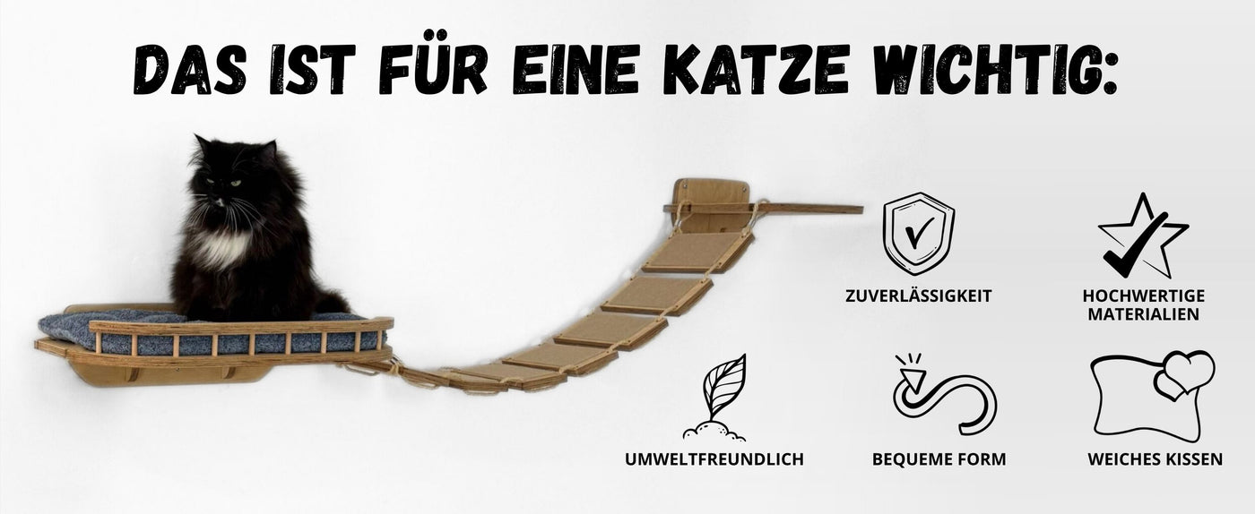 Cat bridge with cat sitting on it, surrounded by icons and text in German.