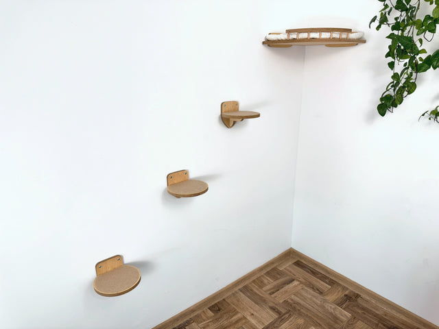 cat wall.shelves