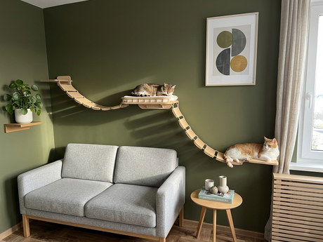Gray sofa with a cat tree and two cats on a green wall with a framed picture.