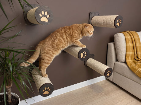 Cat climbing a wall-mounted cat steps with paw prints in a home setting.