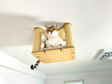Ceiling Cat Platform with Cushion and 4 Sisal Columns