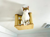 Wood Cat Wall Furniture 