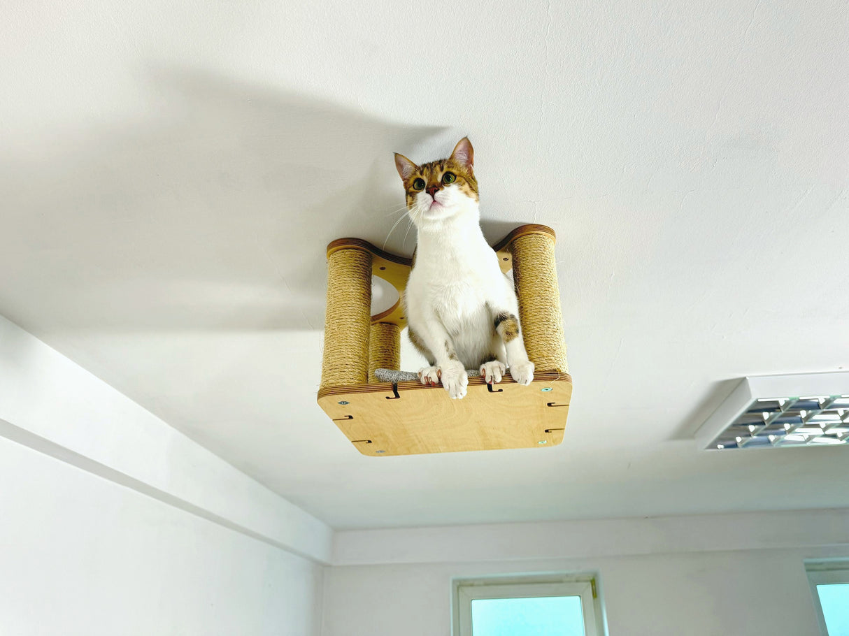 Minimalist Cat Climb Unit 