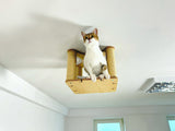 Minimalist Cat Climb Unit 