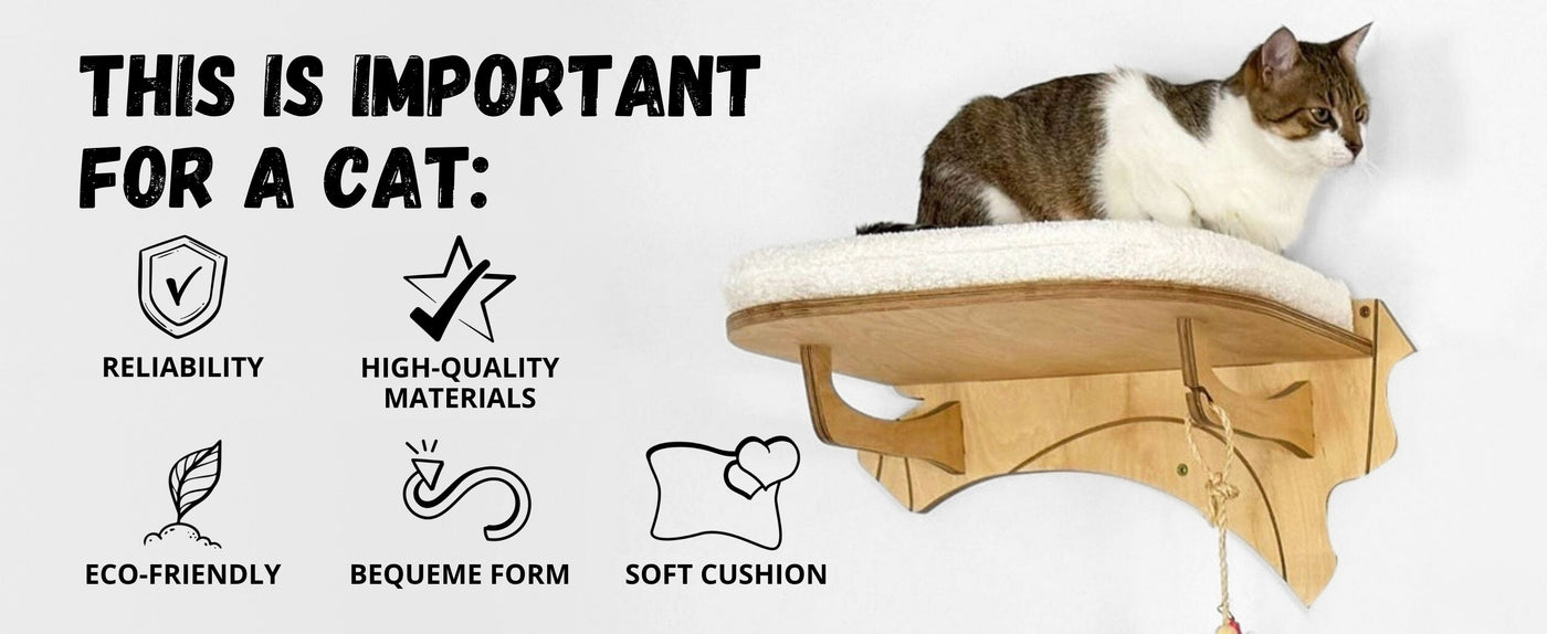 cat climbing shelves