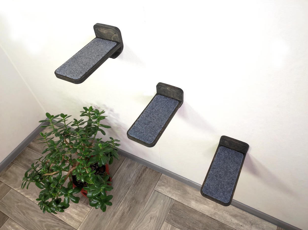Three black pet steps with gray pads on a wooden floor next to a plant.
