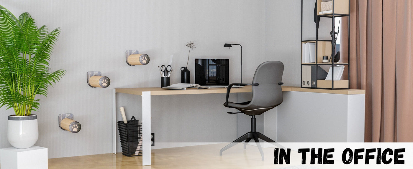Modern office desk with chair, plant, and cat steps.