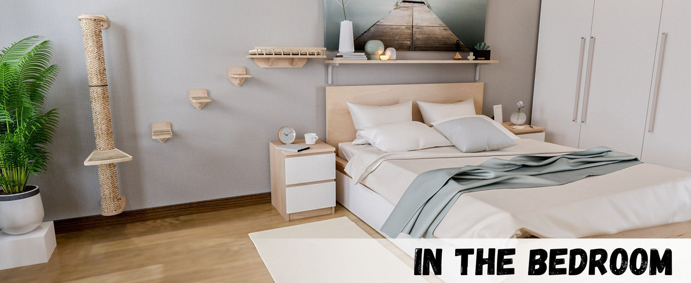 Modern bedroom with bed, nightstands, and cat wall bed
