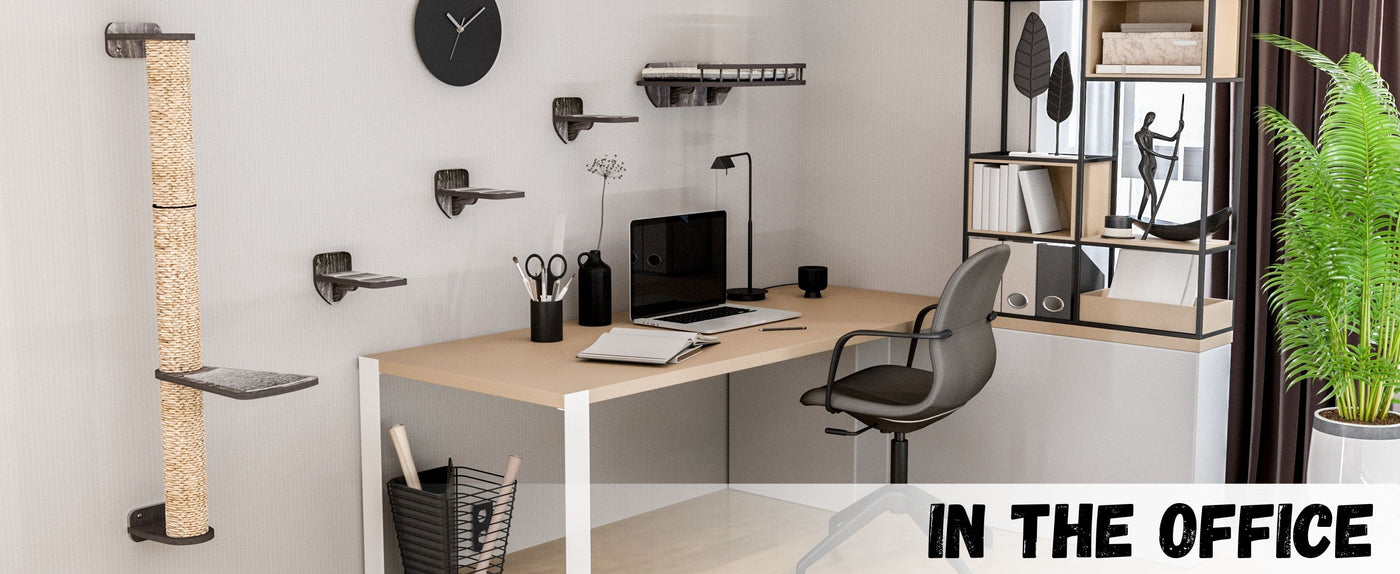 Modern office setup with a desk, chair, and cat wall furniture