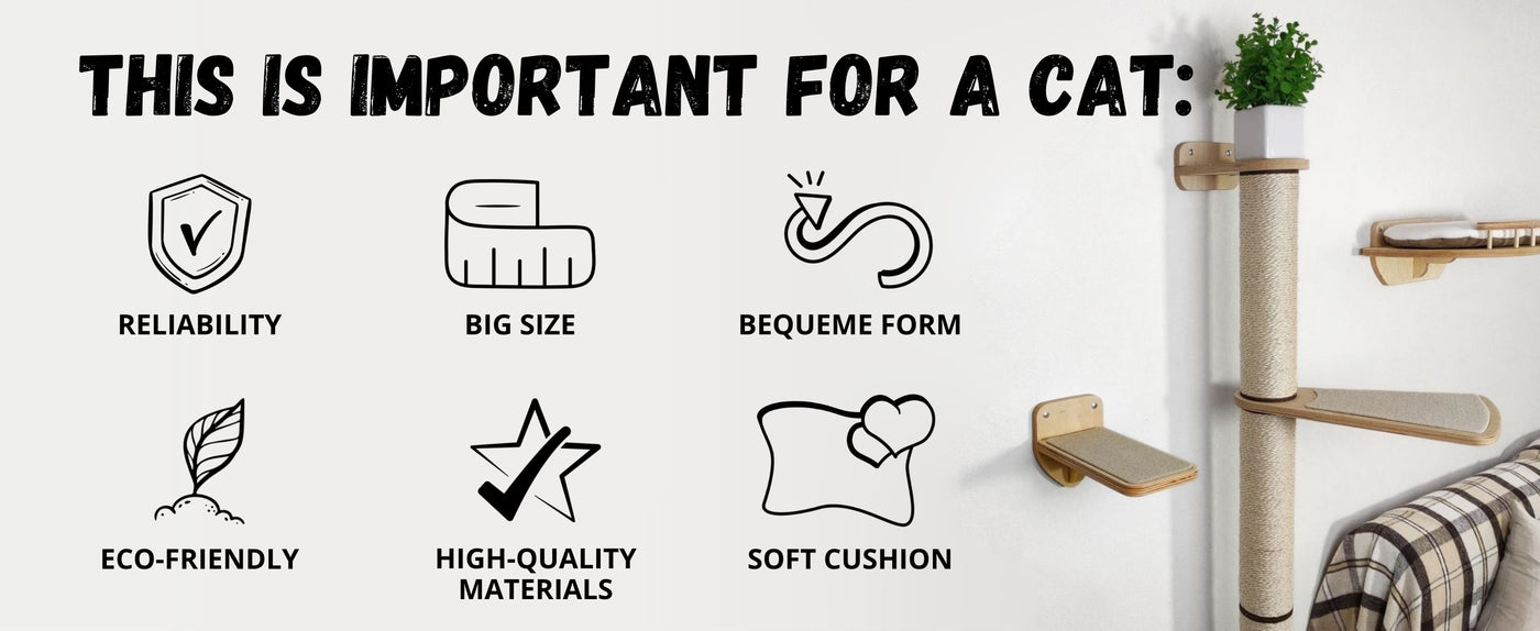 Cat wall furniture features with icons and text on a white background