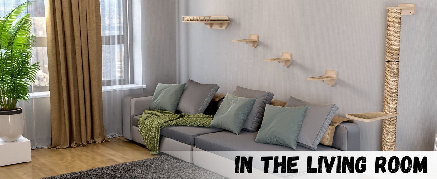 Modern living room with a gray sofa, green cushions, and cat wall furniture