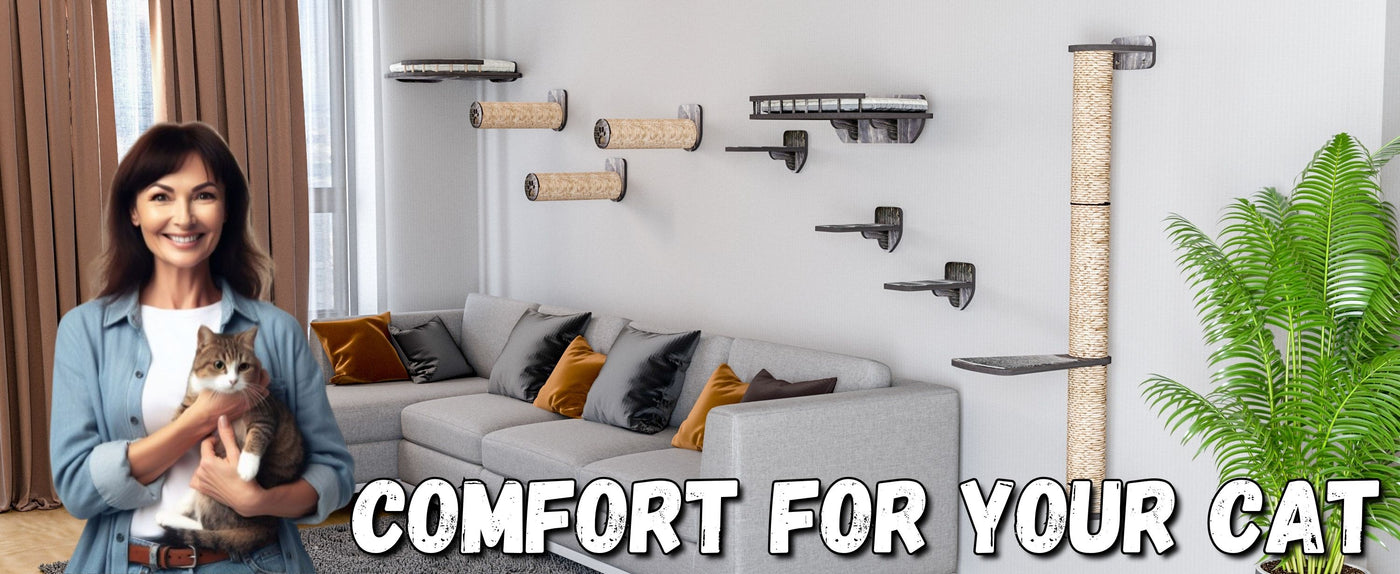 Woman holding a cat in a living room with cat shelves and furniture.
