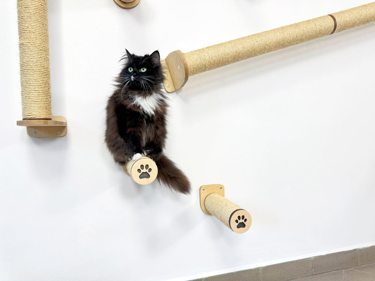 Modern Cat Scratcher & Bed 