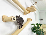 Active Cat Perch 