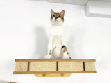 Cat sitting on a wooden shelf with wicker sides against a white wall.