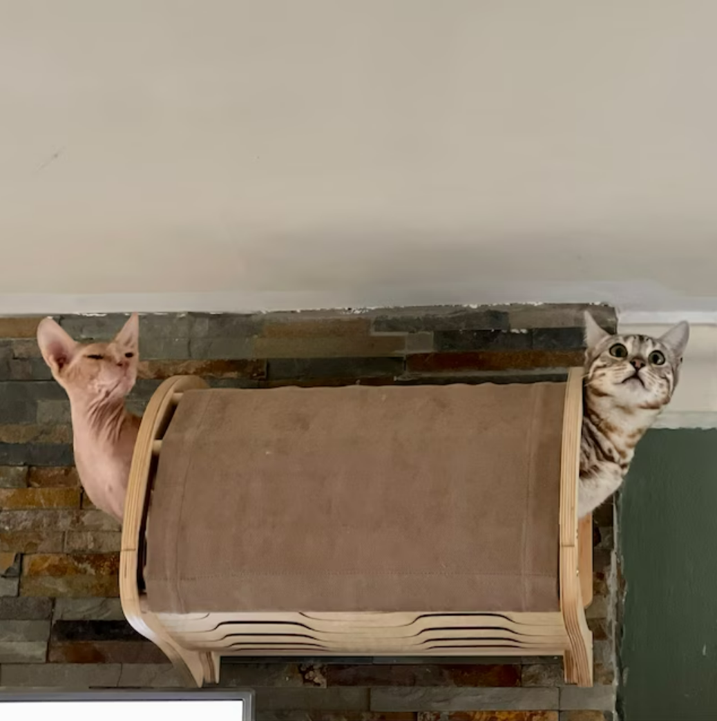 Cat wall furniture cave - Light