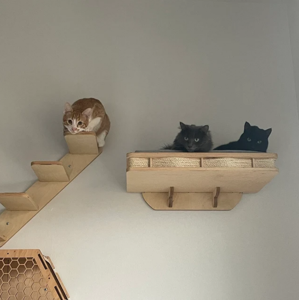 Cat Wall Mounted Large Shelf - Light