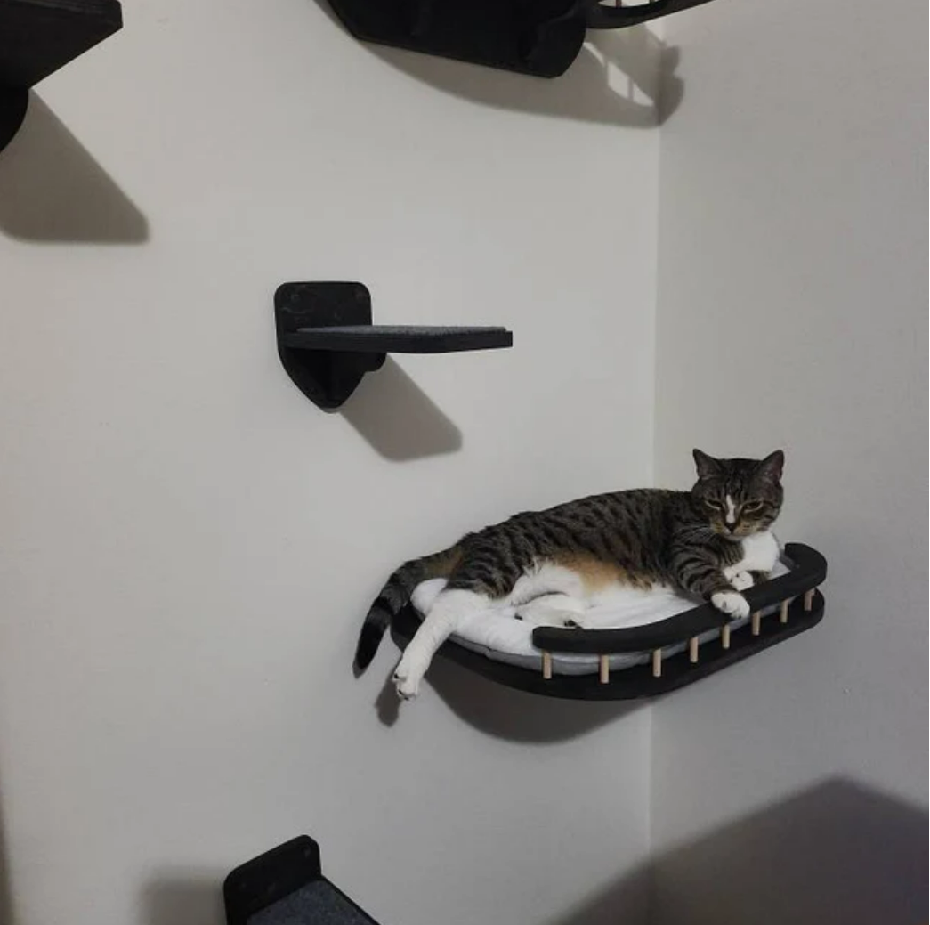 Cat wall shelves - set for big cats - Dark & Bed plus Feeding shelf