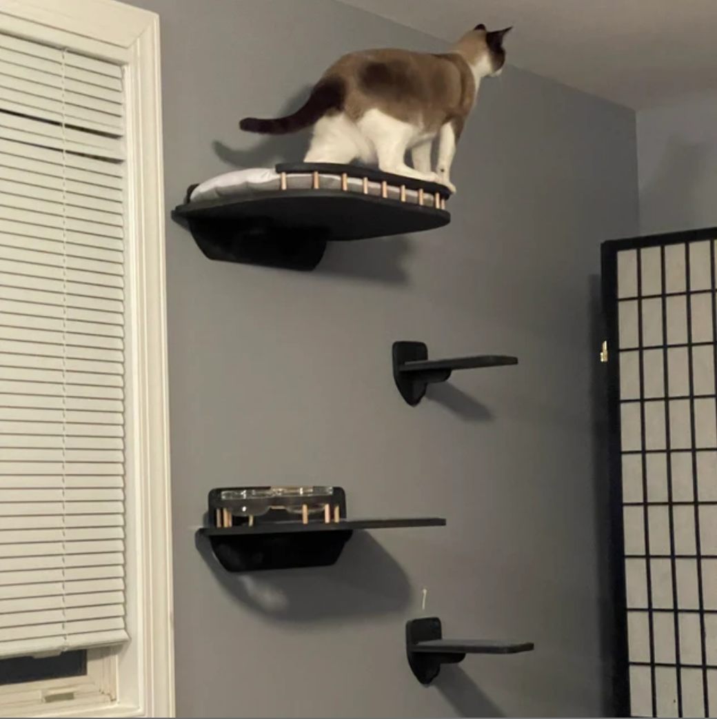 Cat wall shelves - set for big cats - Dark & Bed plus Feeding shelf