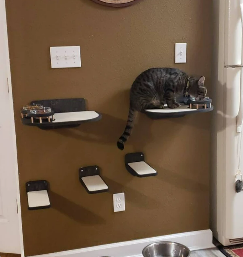 Cat wall feeder set - Dark & raised bowls