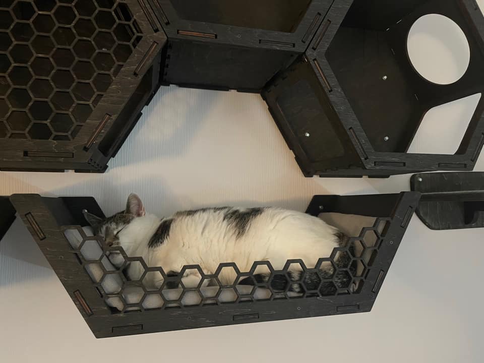 Wall shelf cat bed / Hexagon - Dark