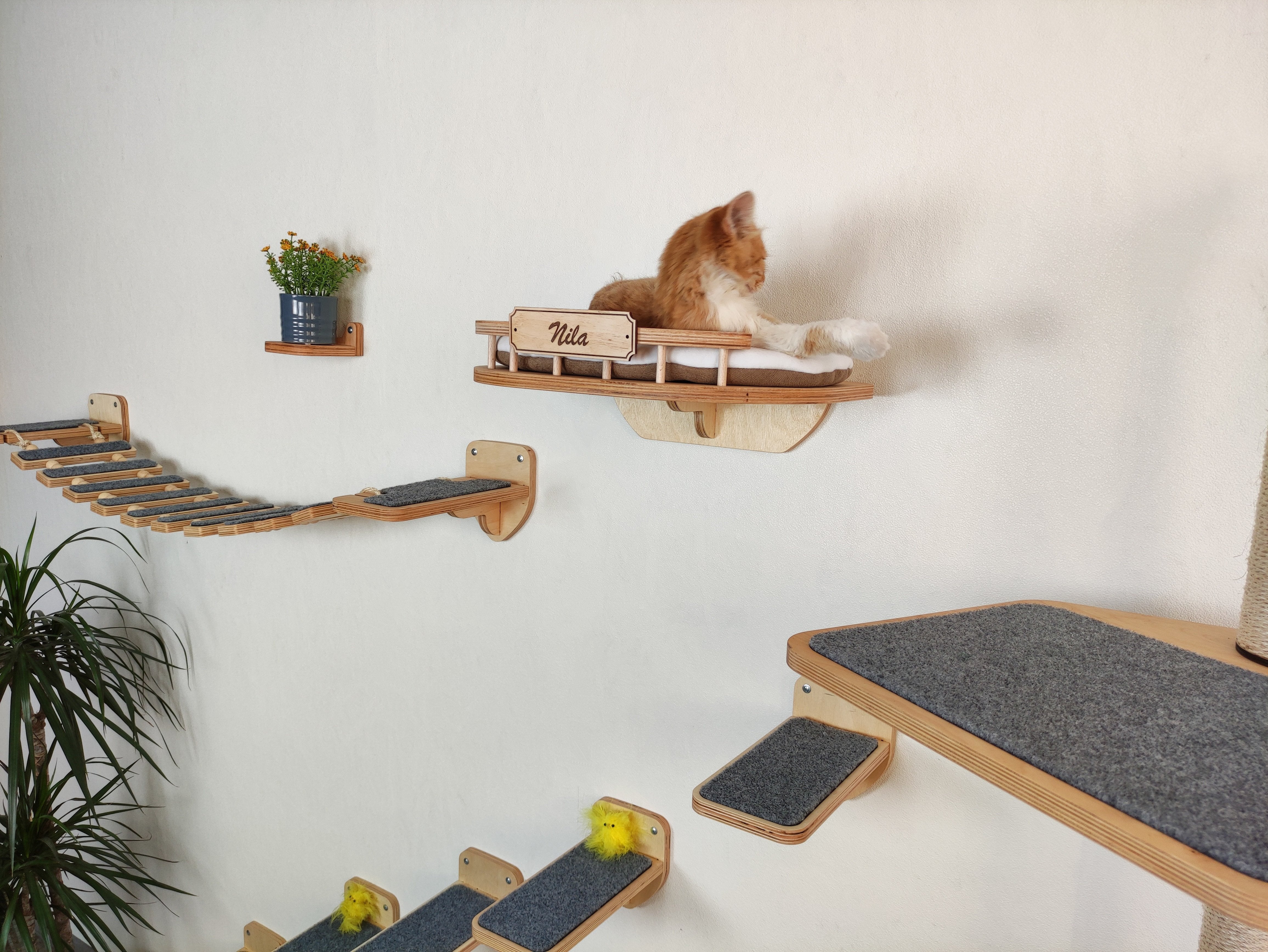 Cat furniture set JAMES - light - rshpets