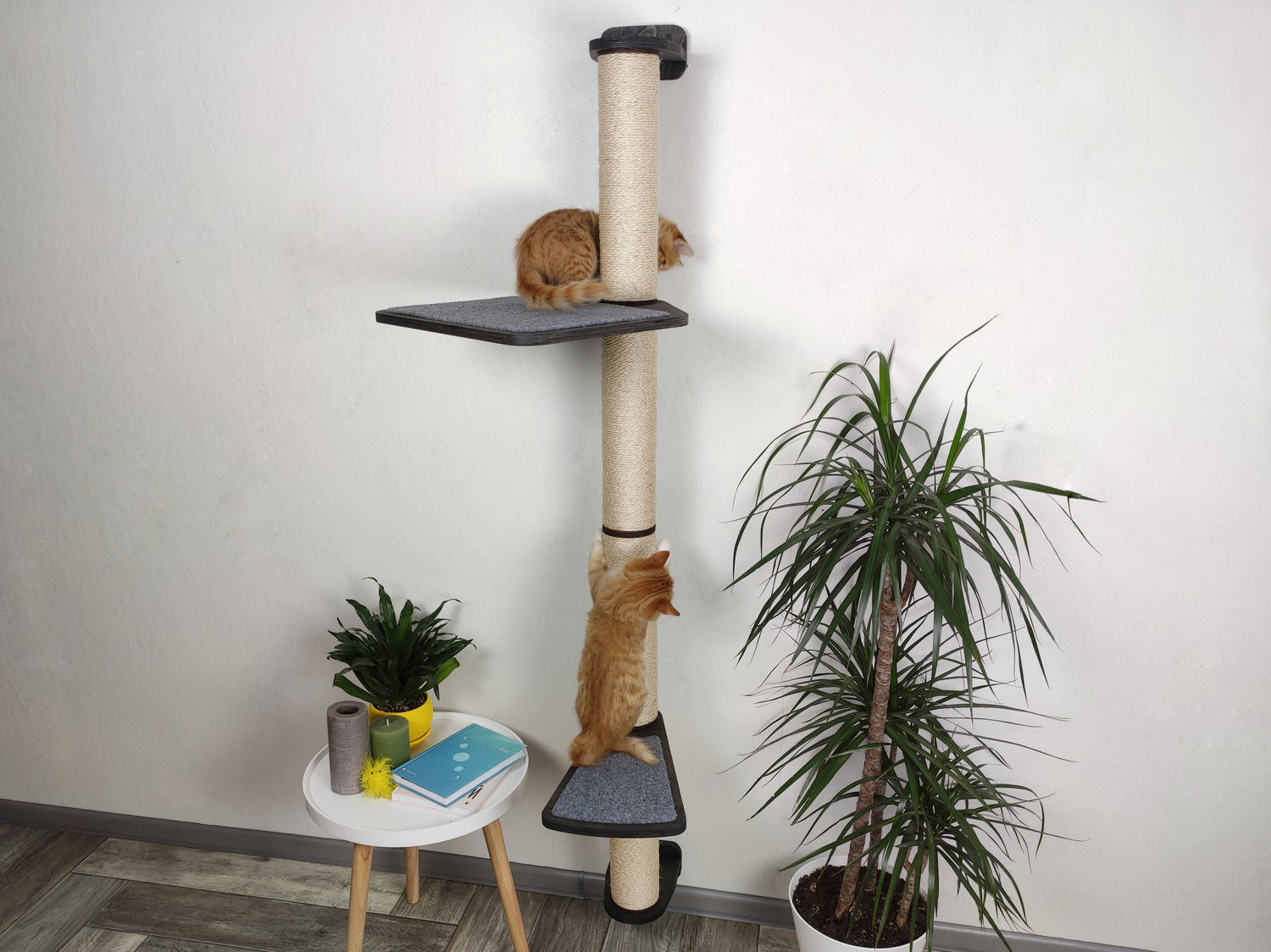 Wall Mounted Cat Scratching Post with Two Shelves Step