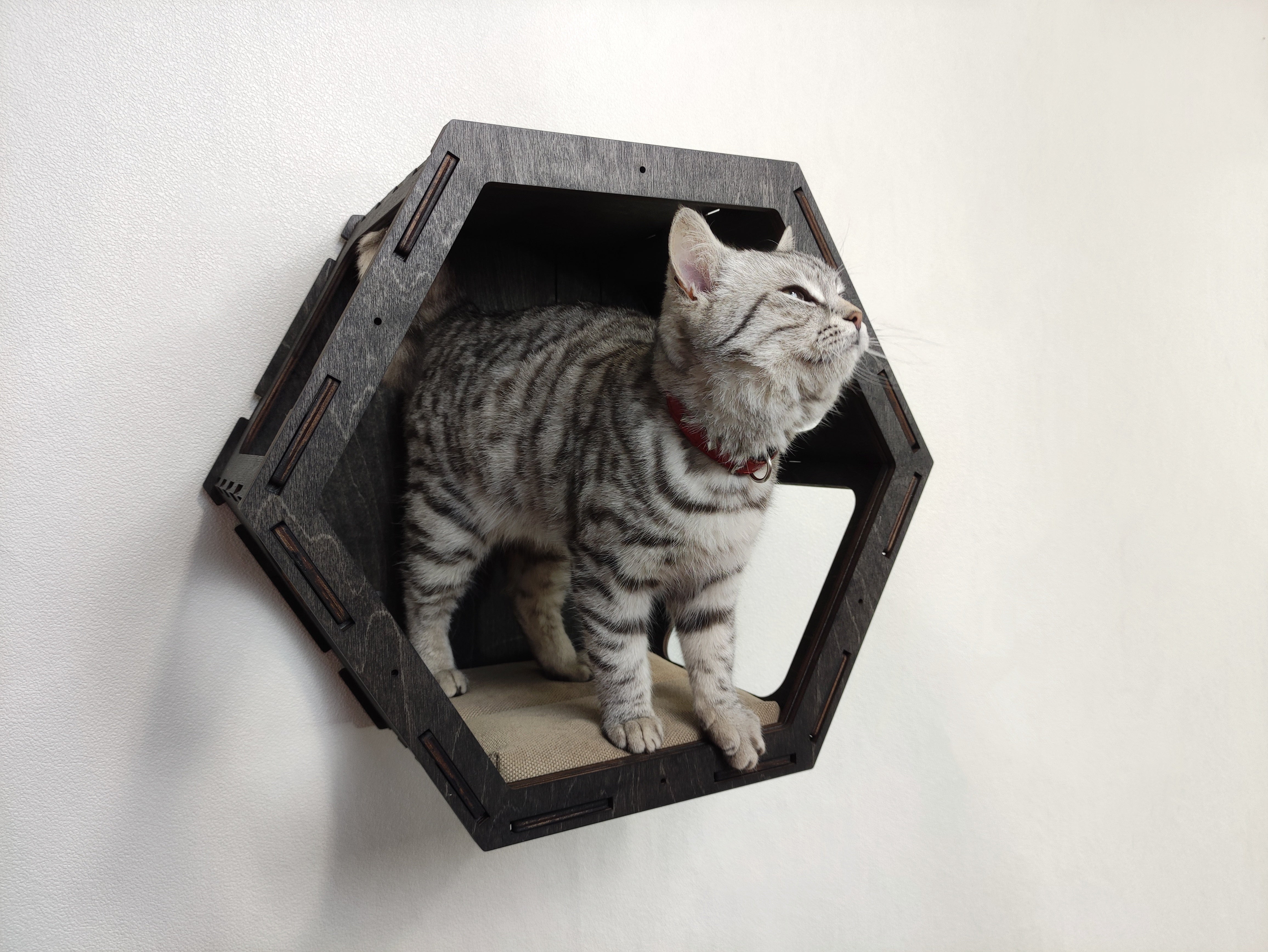 Cat wall shelves / Hexagonal shelves - Dark