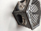 Cat wall shelves, Hexagonal shelves