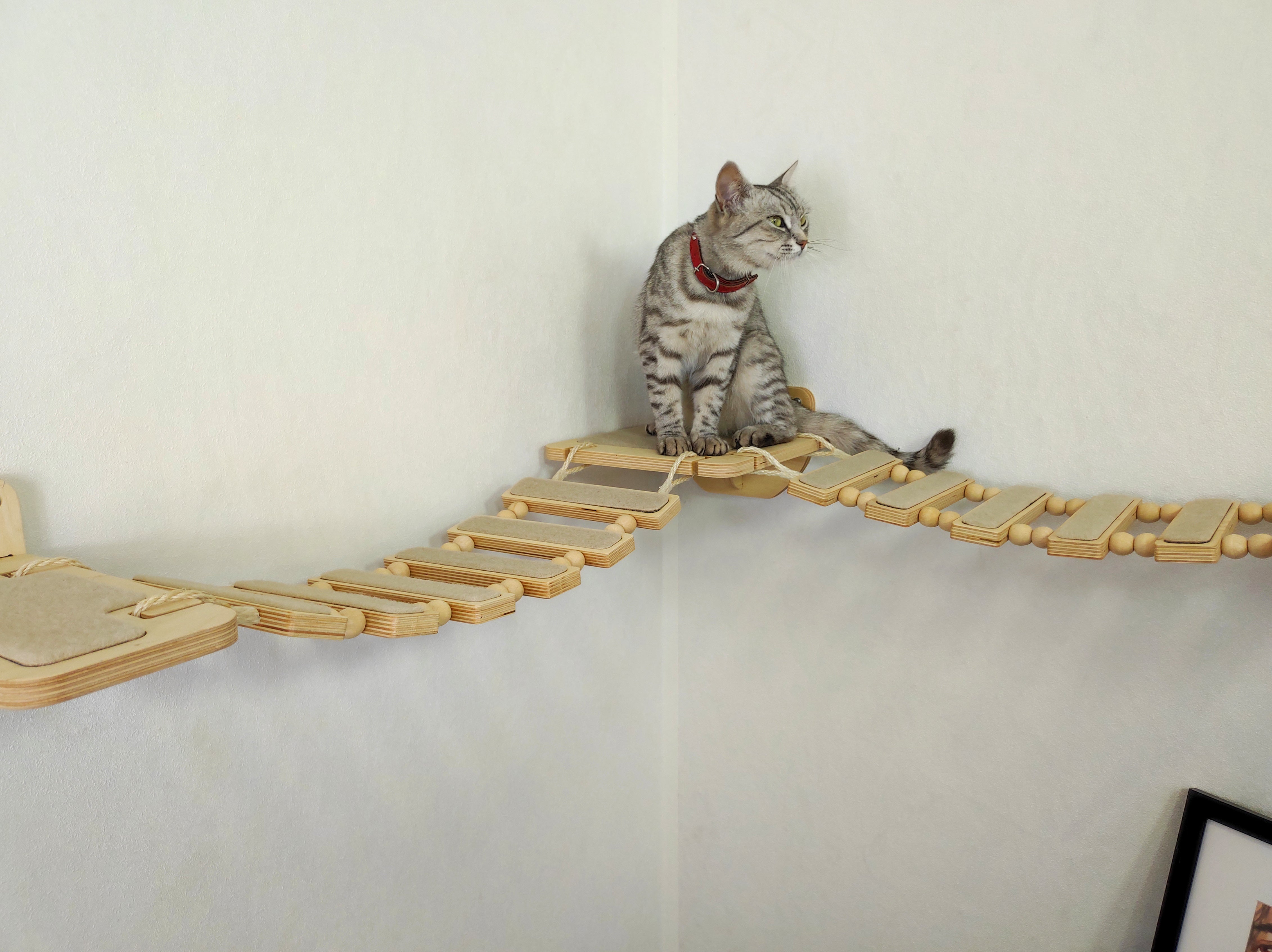 Cat wall double bridge for room corner  - Light