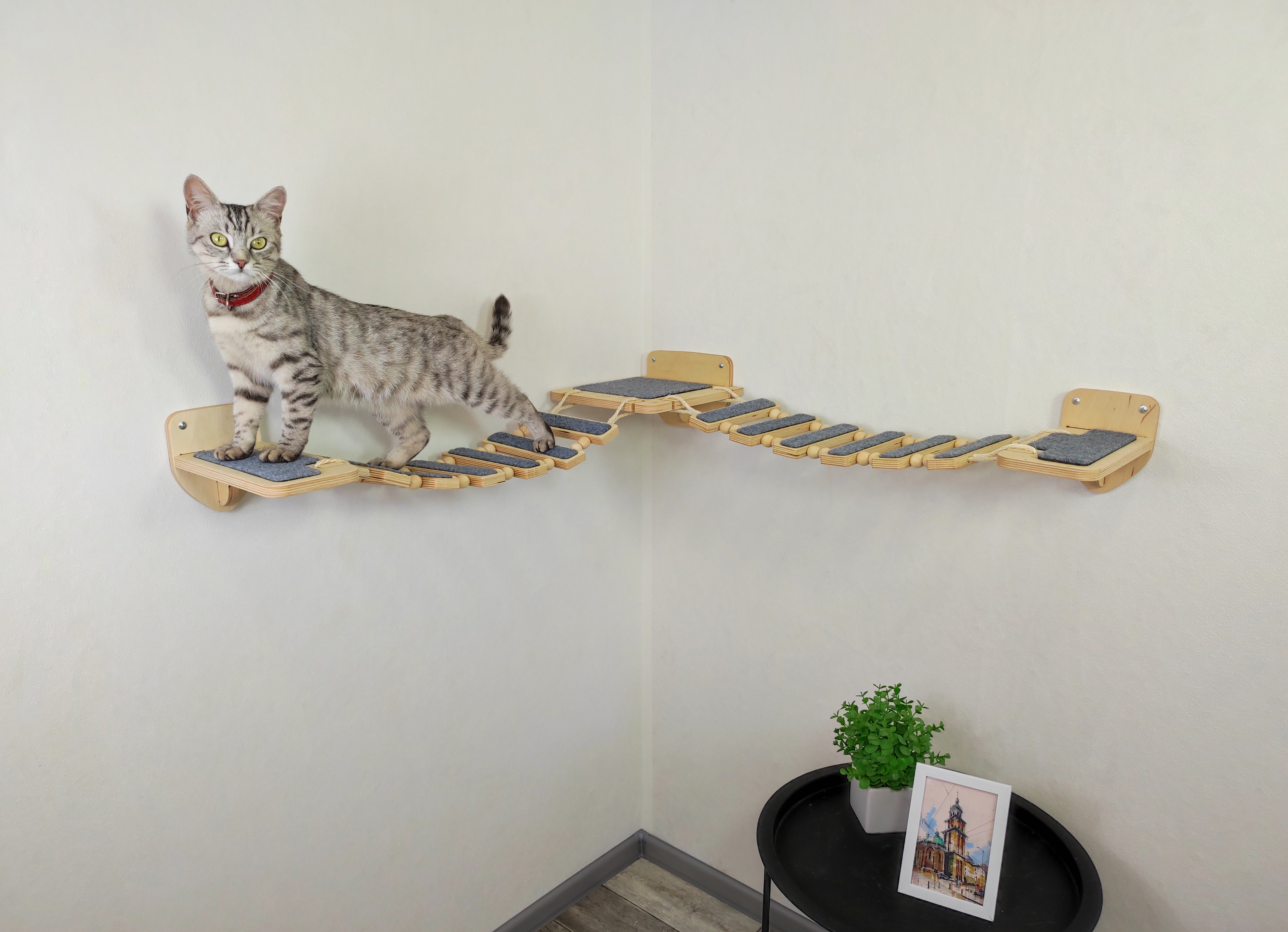 Cat wall double bridge for room corner  - Light