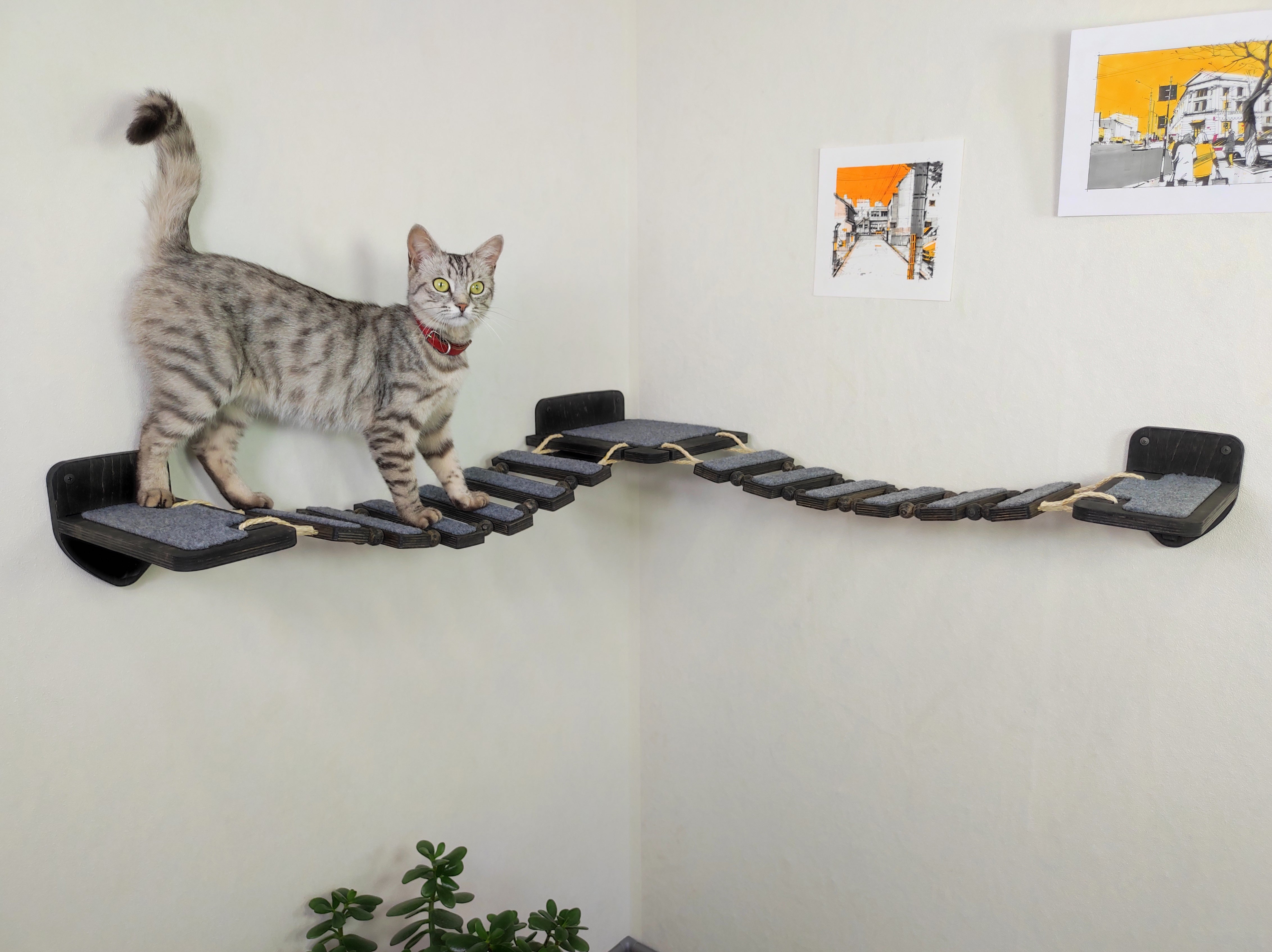 Double cat bridge into the corner - Dark