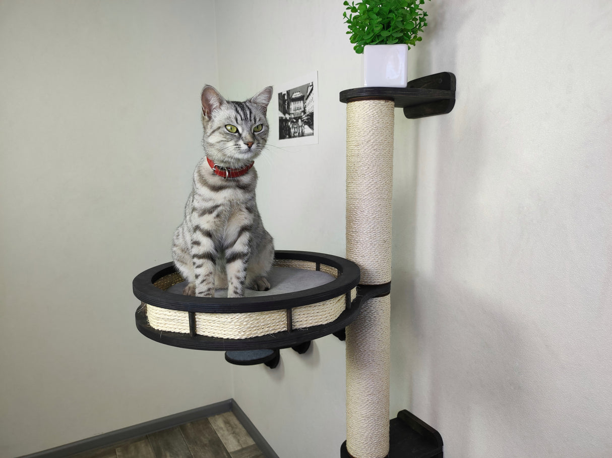 Cat wall tree - Dark & Steps plus Sratching post with Round shelf