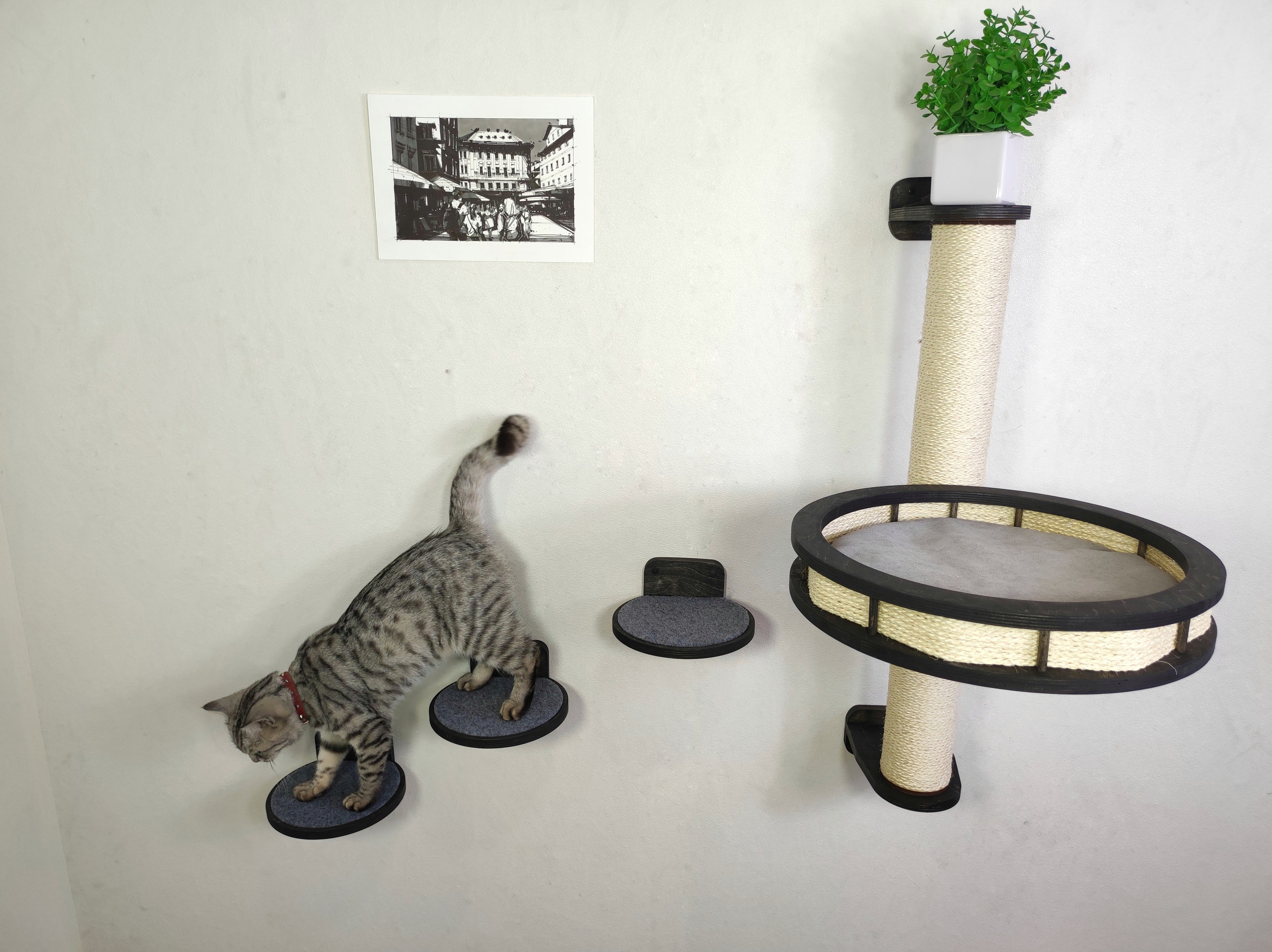 Cat wall tree - Dark & Steps plus Sratching post with Round shelf