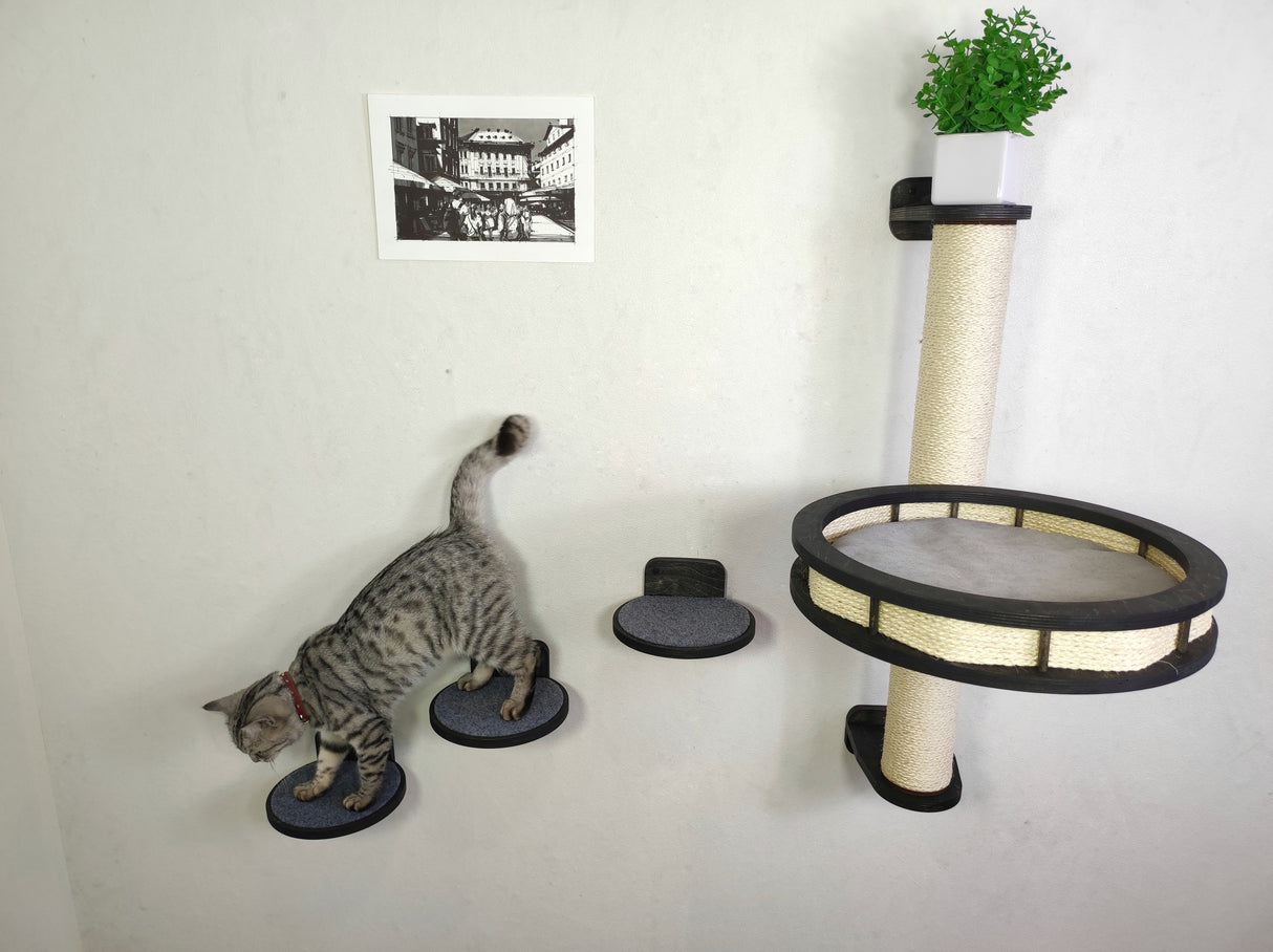 Cat wall tree - Dark & Steps plus Sratching post with Round shelf